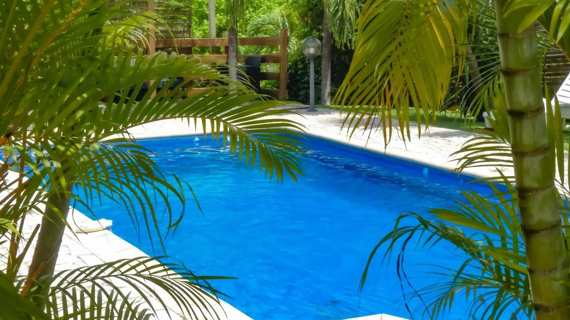 Maison Conviviale A Sainte-Anne Avec Piscine Privee Martynika